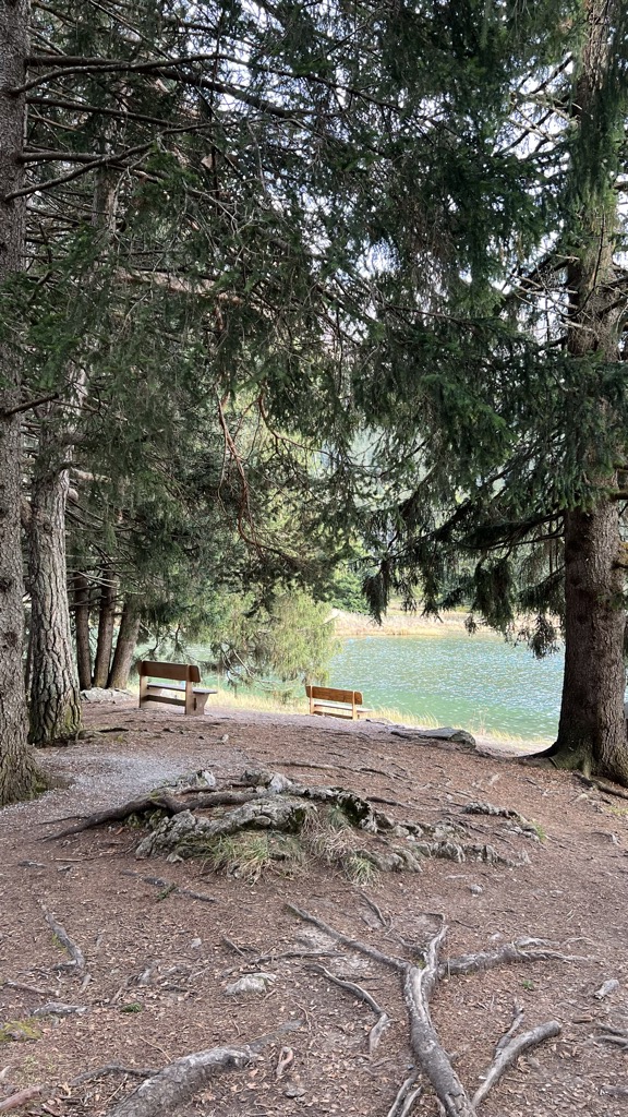 Photo №5 of Heidsee