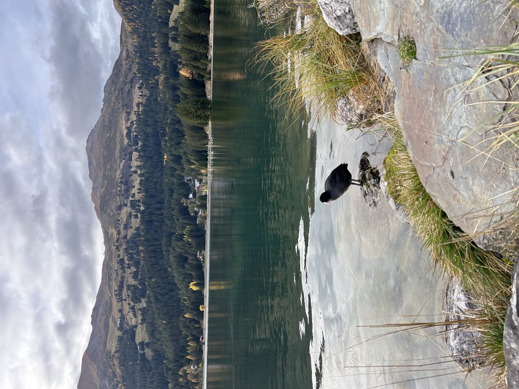 Photo №4 of Heidsee