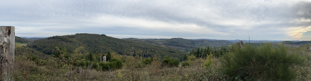 Photo №2 of Heiligeholz