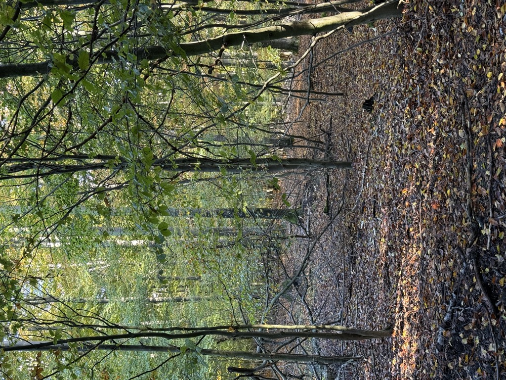 Photo №1 of Hellberg