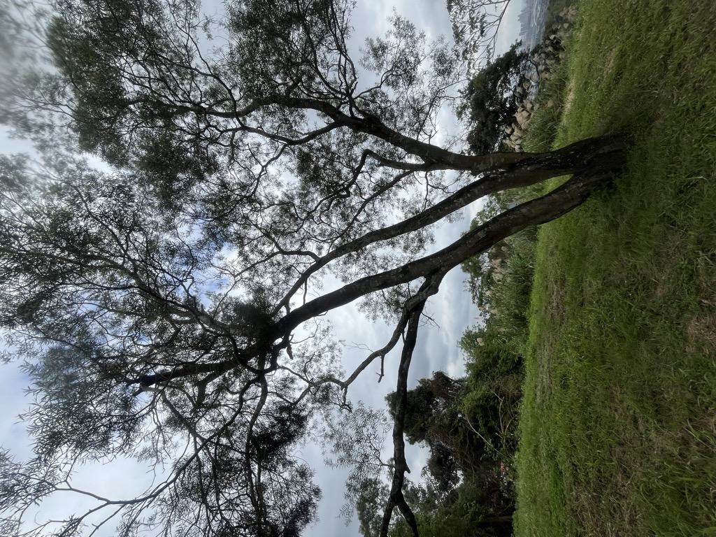 Photo №3 of Hemeishan