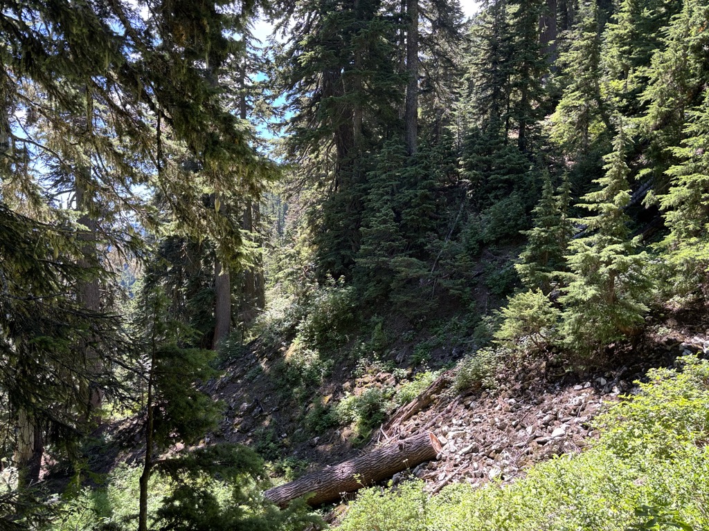 Photo №2 of Hemlock Pass