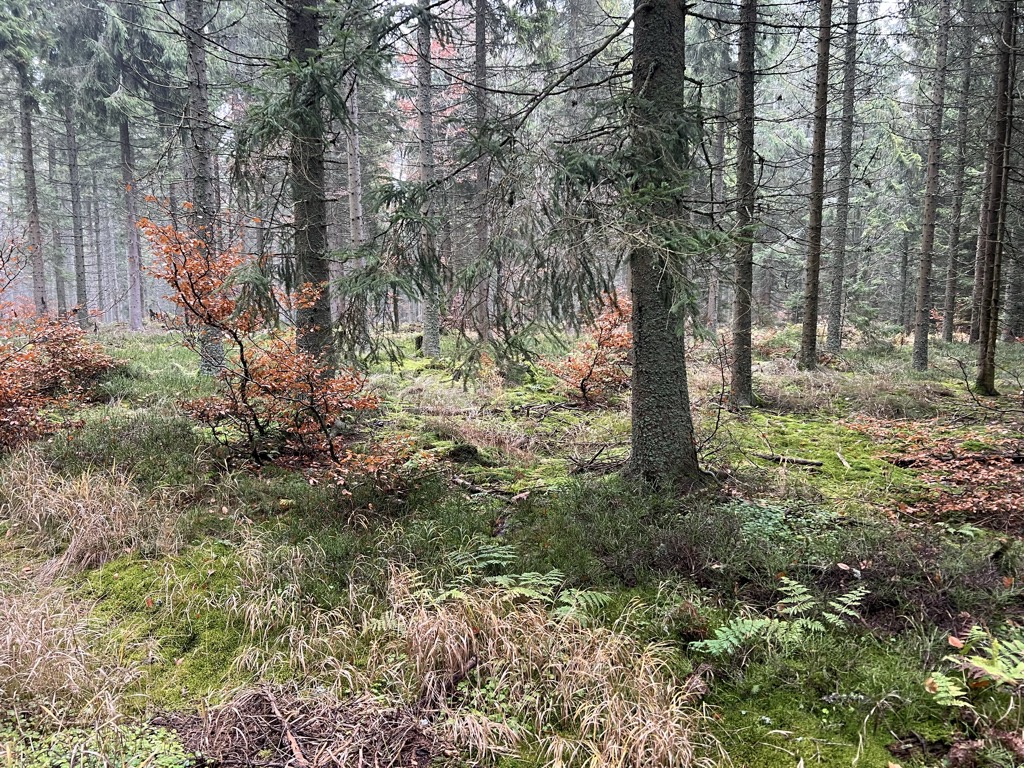 Photo №2 of Hengstberg