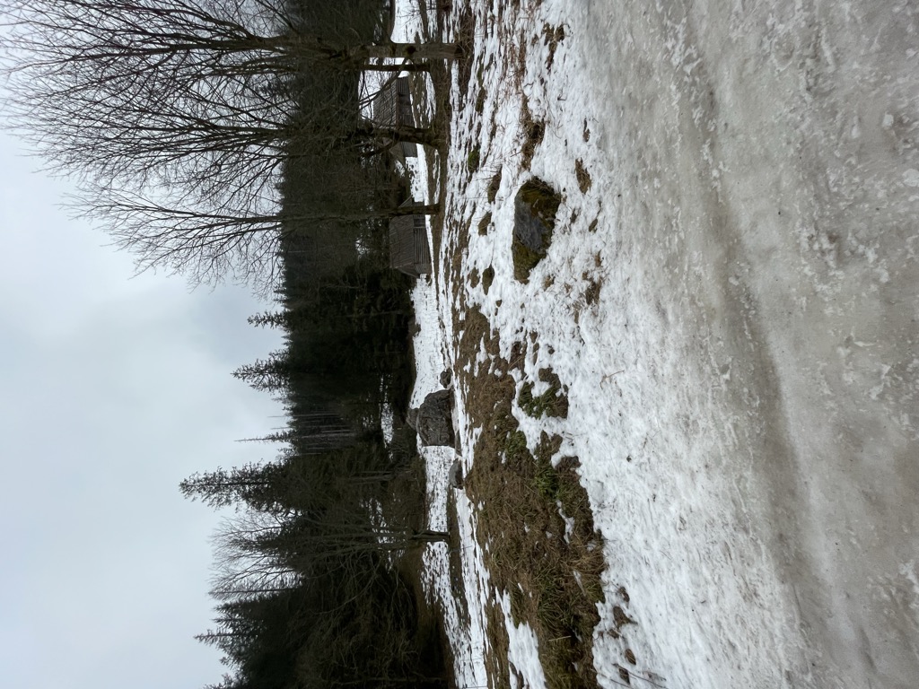 herbaciarnia-parzenica