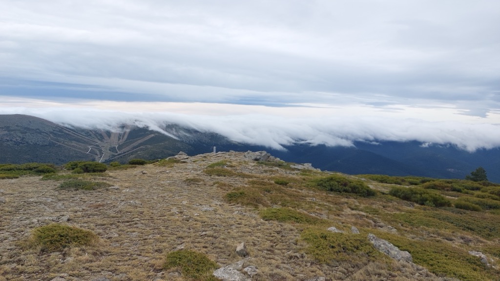 Photo №4 of Hermana Menor