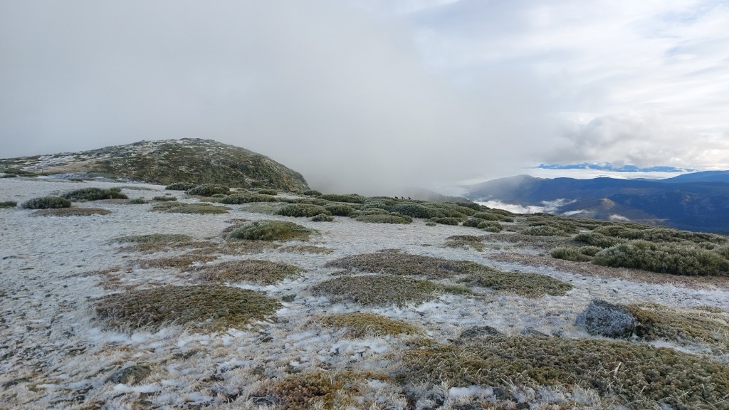 Photo №1 of Hermana Menor