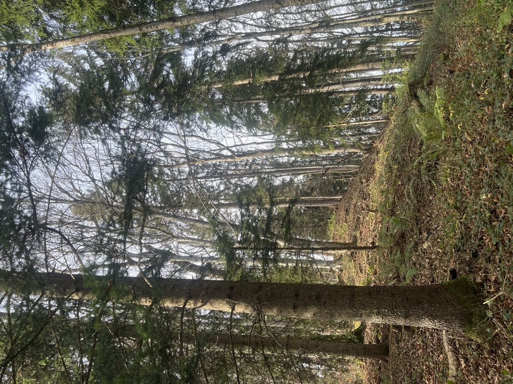 Photo №1 of Heuberg