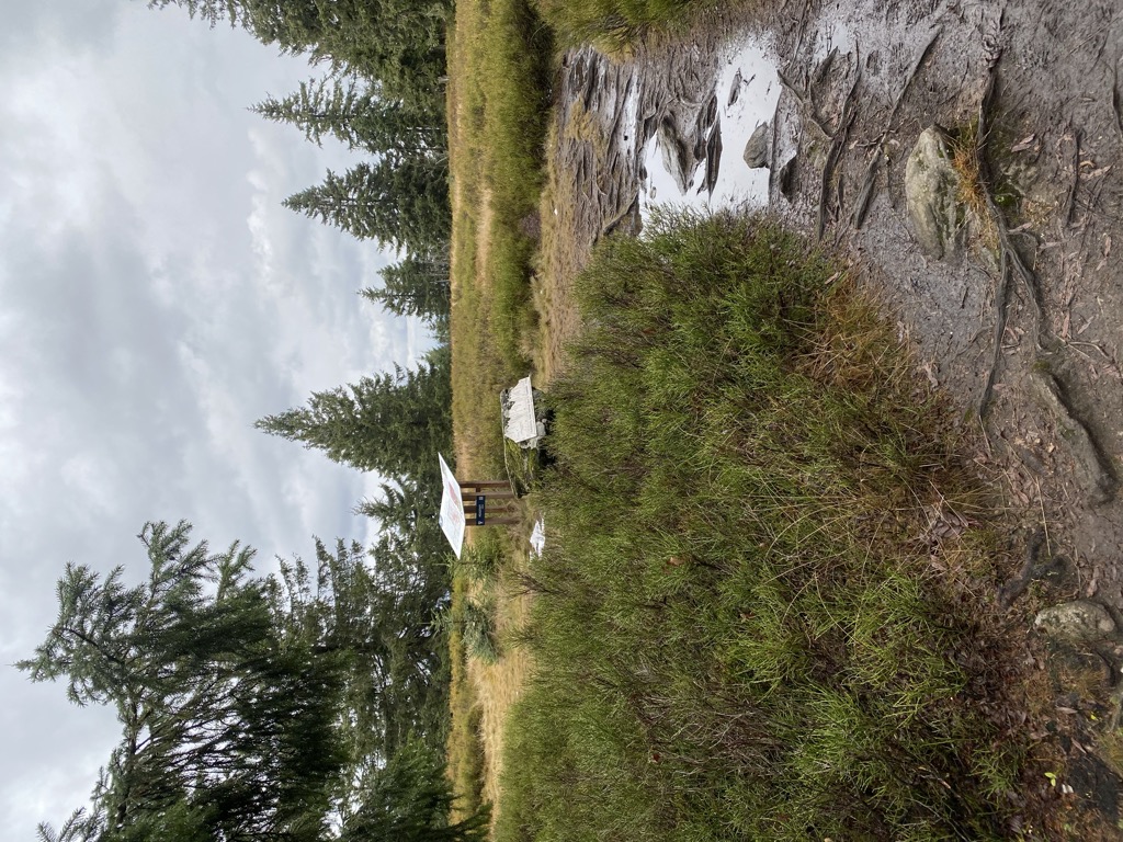 Photo №1 of Heugstatt