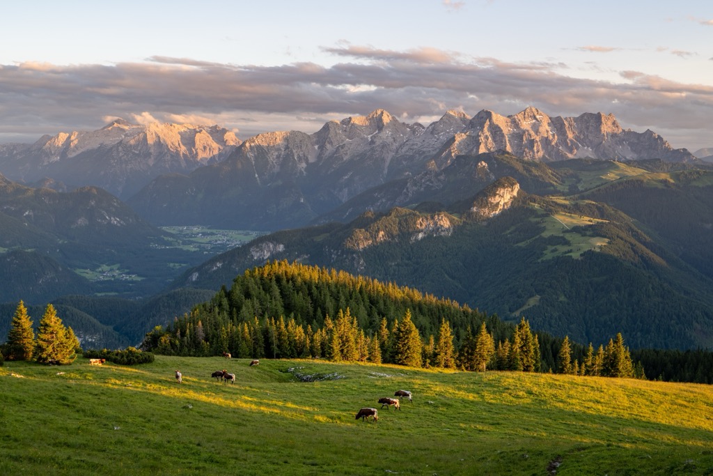 Wald-Wild-Schongebiet (Austria)