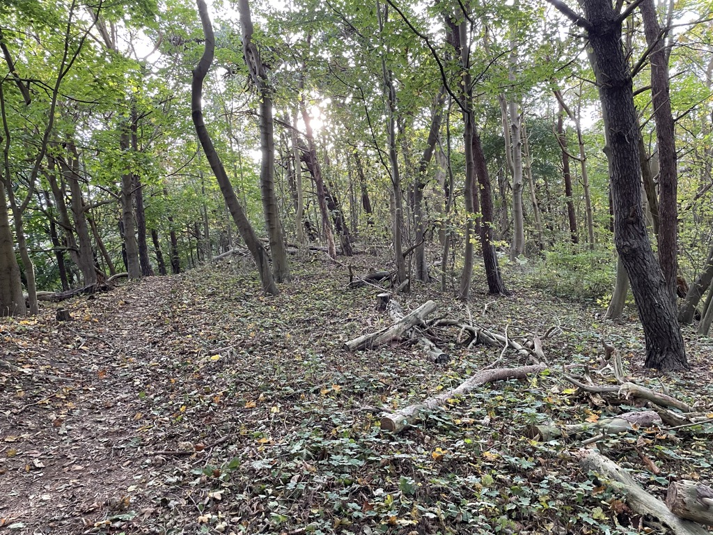 Photo №1 of Hexenberg