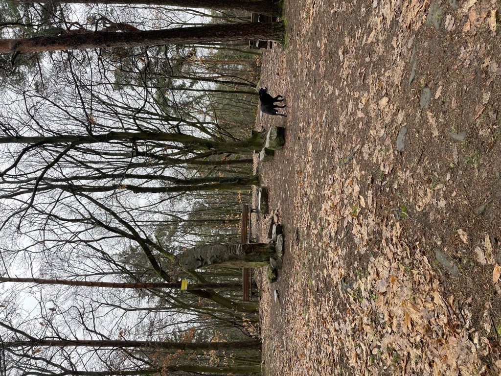 Photo №7 of Hexenstein