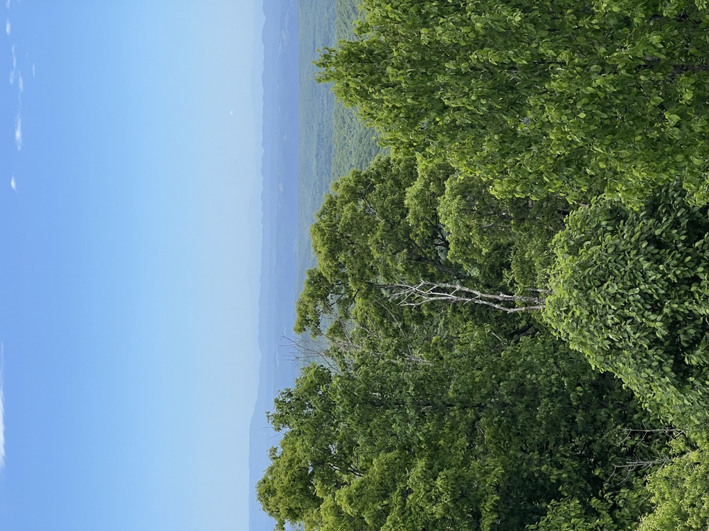 Photo №1 of High Knob