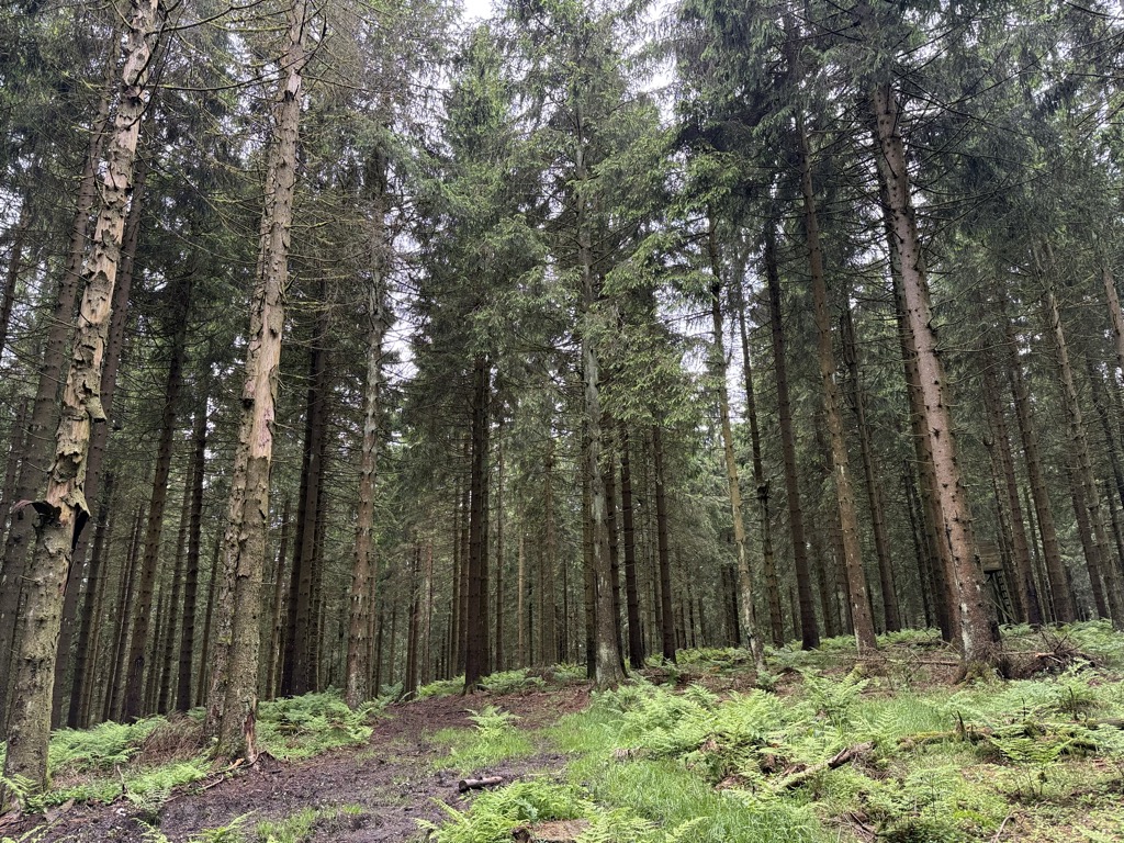 Photo №3 of Hillekopf