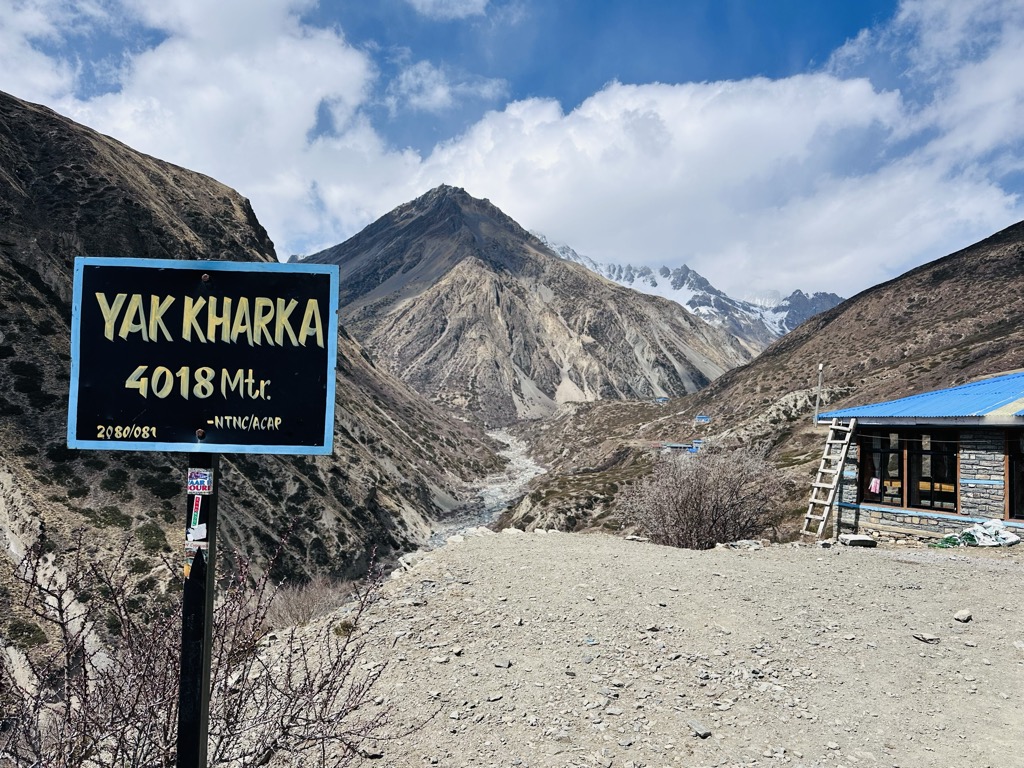himalayan-view-hotel