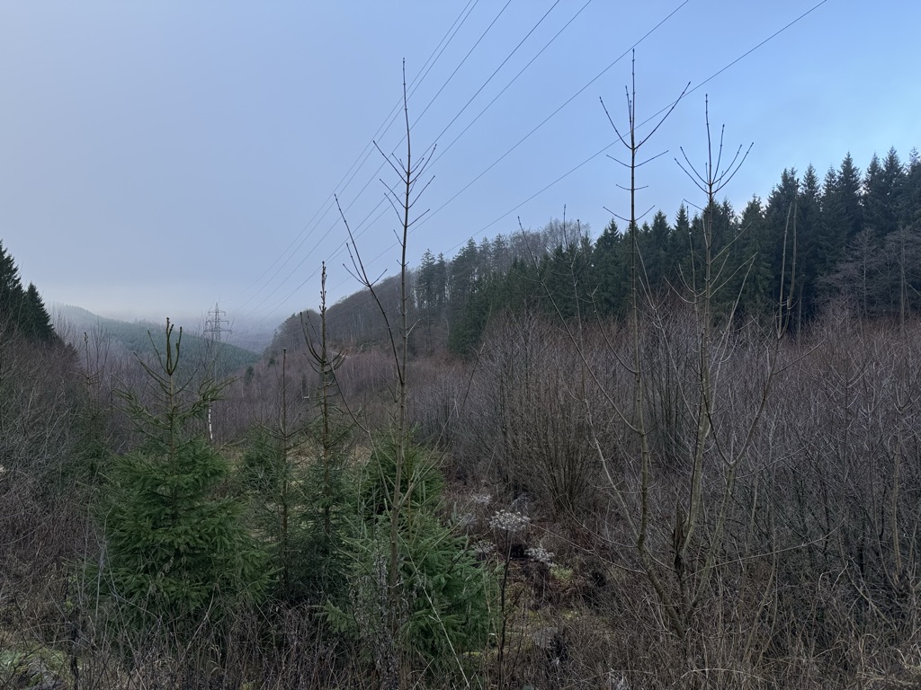 Photo №2 of Himmelskrone