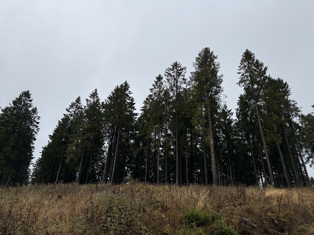 Photo №2 of Hinterer Hohe Knochen