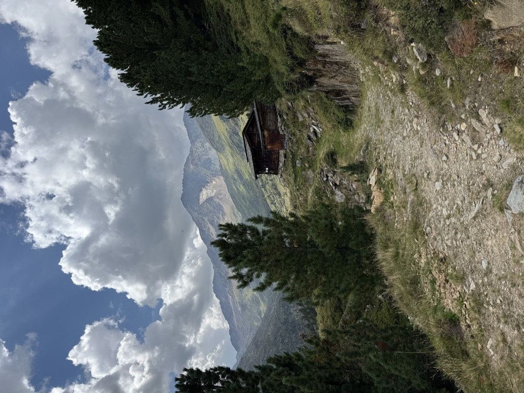 hinterm-holz-alm