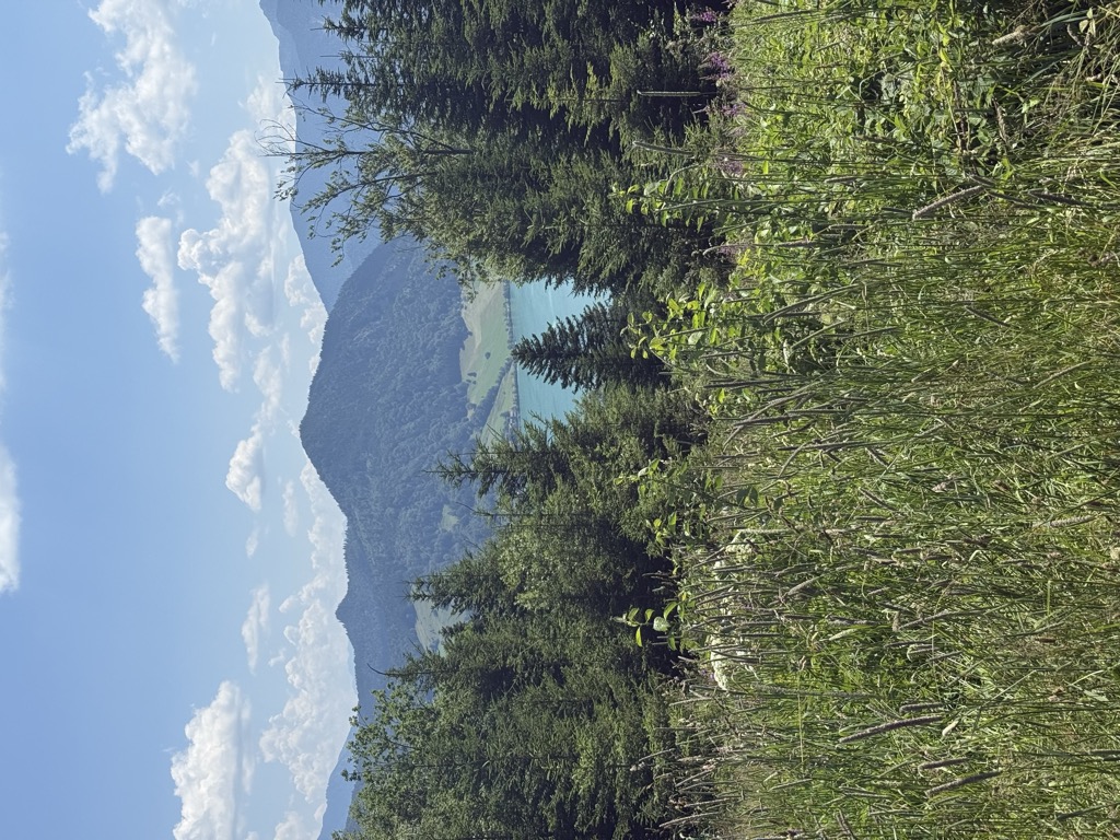 Photo №1 of Hirschgröhrkopf