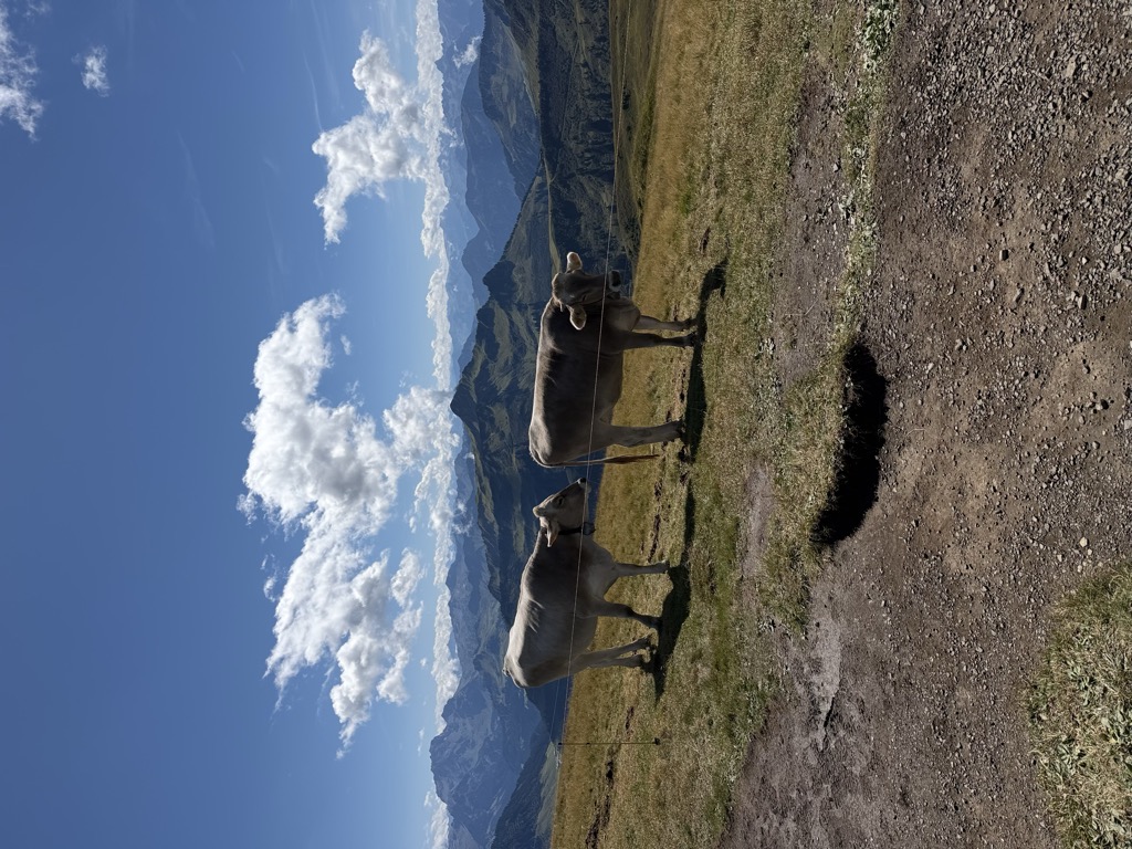 Photo №2 of Hochblanken
