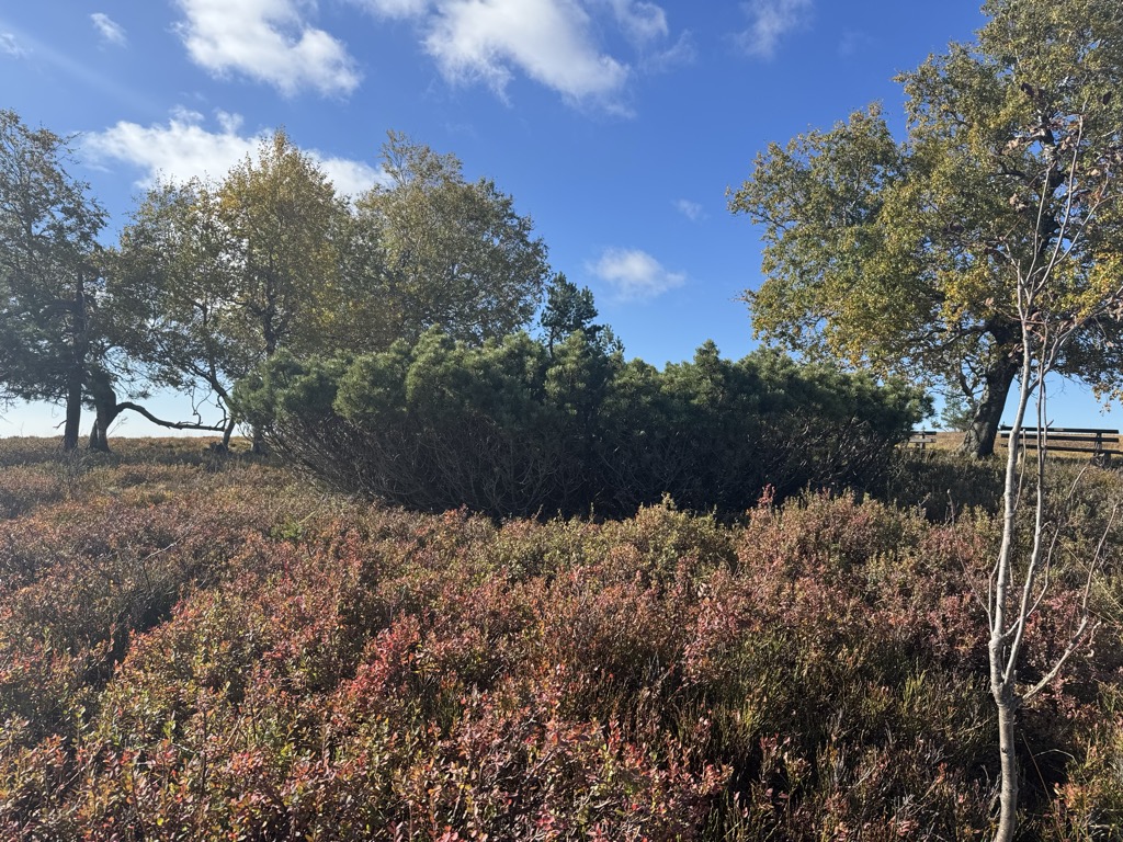 Photo №1 of Hochkopf