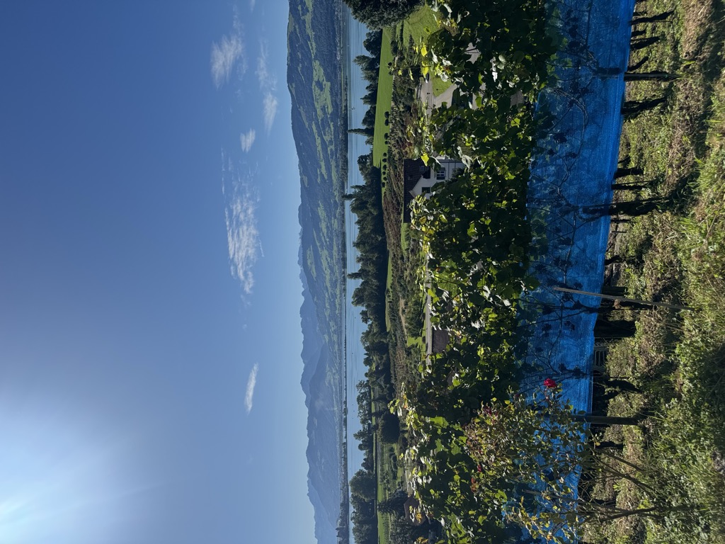 Photo №1 of Höchtor