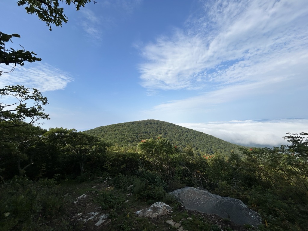 Photo №1 of Hogback