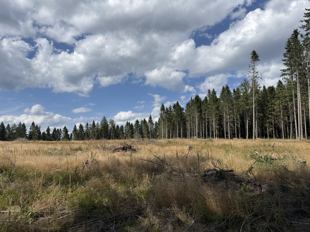 Photo №2 of Hohe Hessel