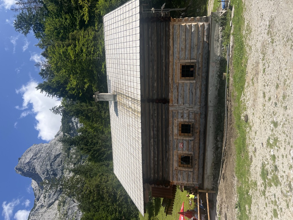 hohe-holzmeister-alm-1