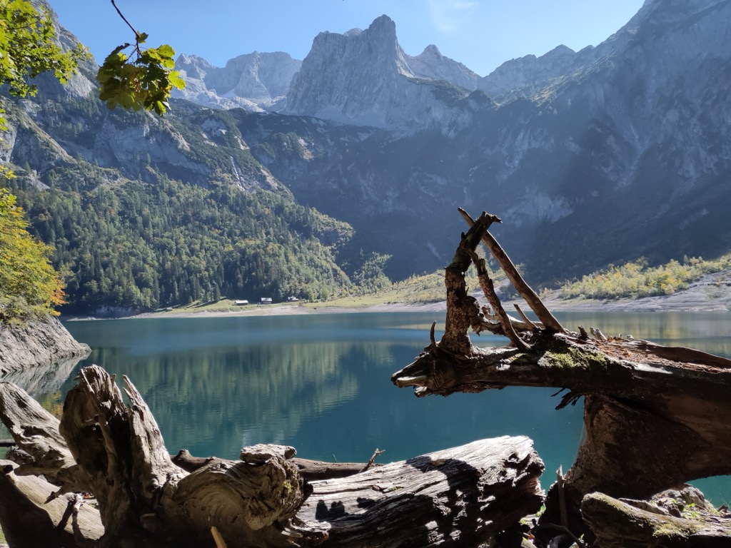 hohe-holzmeister-alm