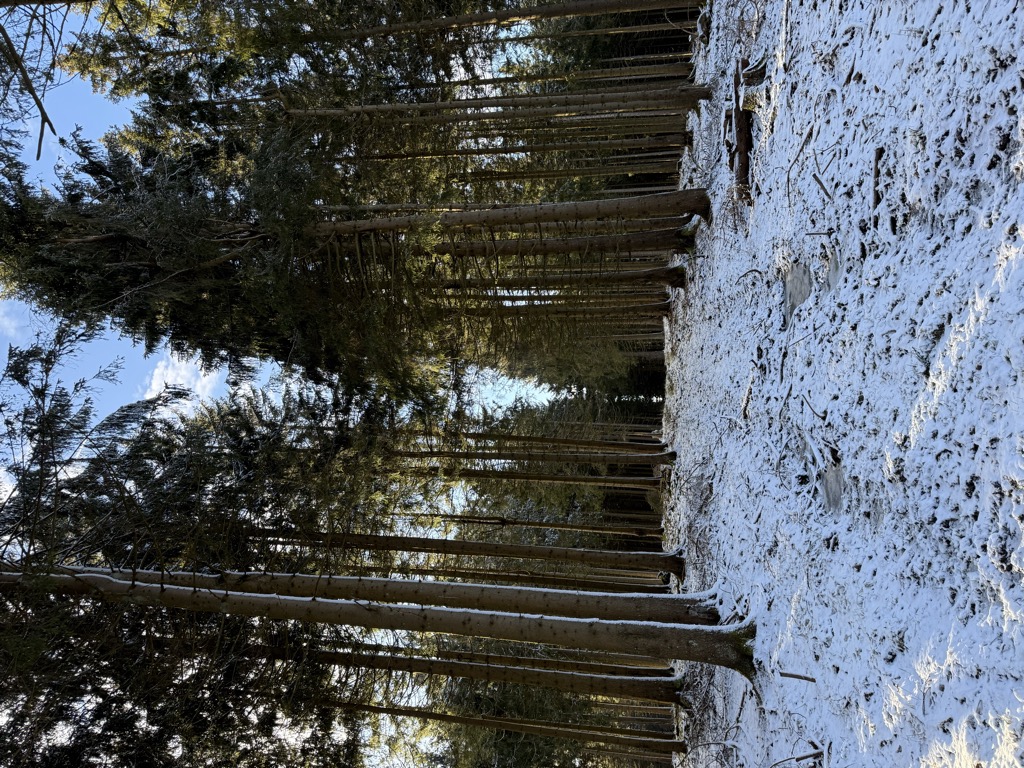 Photo №1 of Hohe Pön