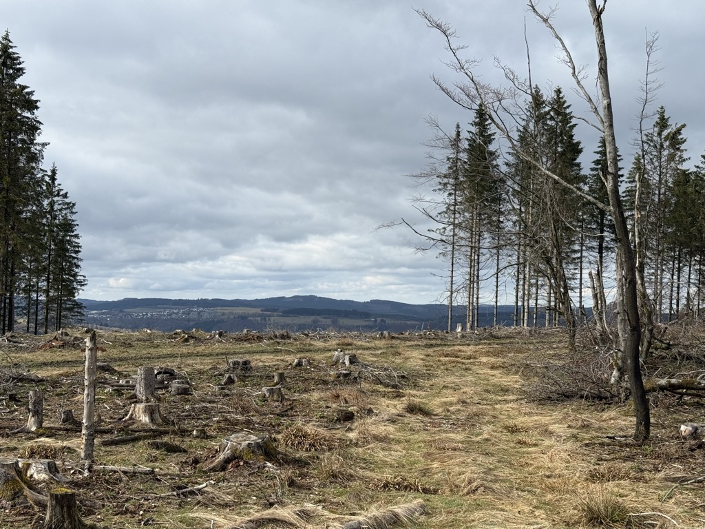 Photo №2 of Hohe Seite