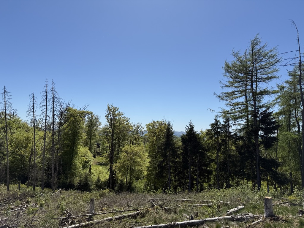 Photo №2 of Hohe Warte
