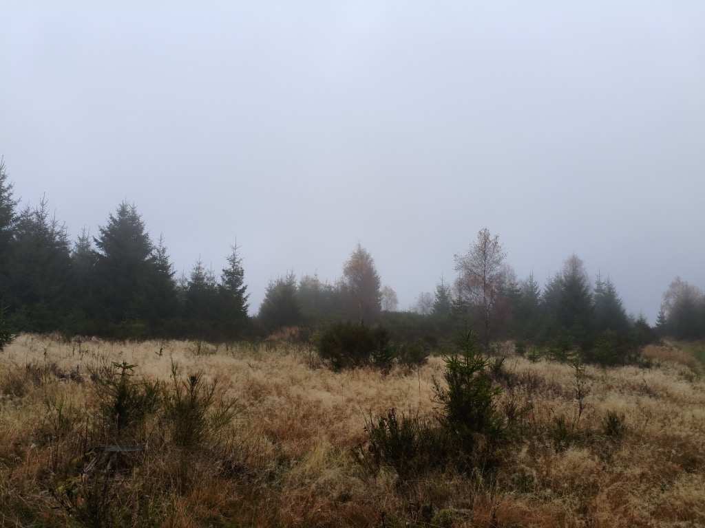 Photo №2 of Hoher Hagen
