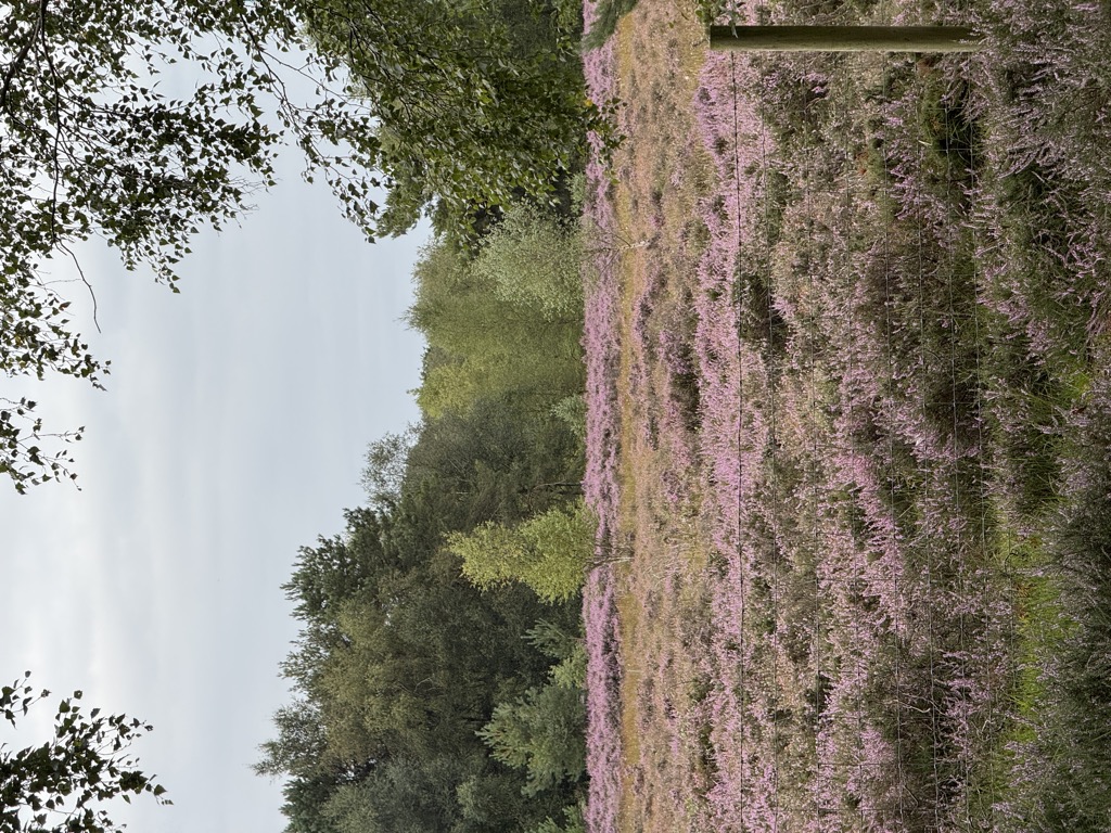 Photo №2 of Hollow Pit Pond