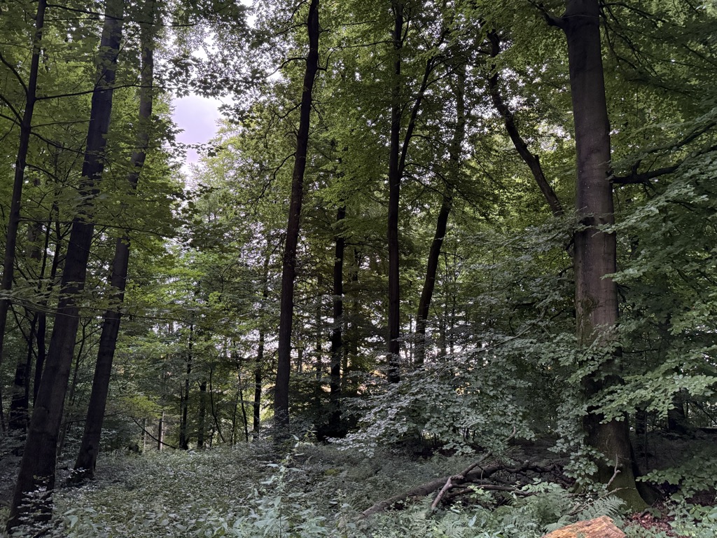 Photo №1 of Holschenberg