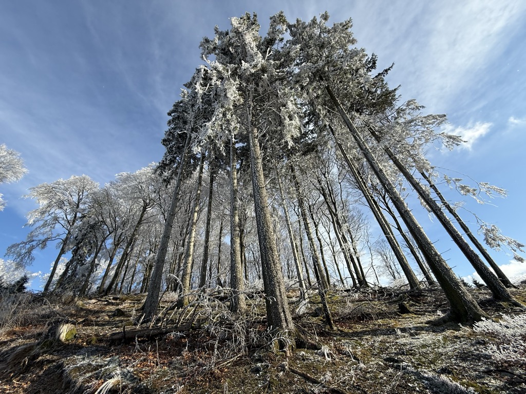 Photo №2 of Hömberg