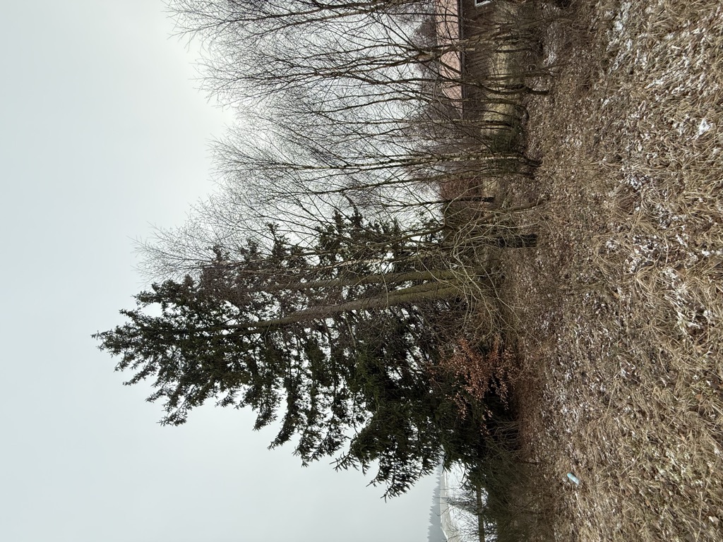 Photo №2 of Homberg