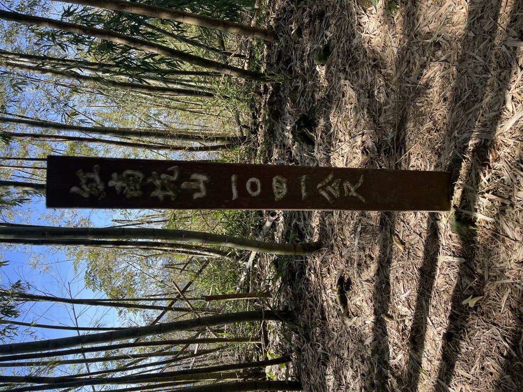 Photo №4 of Hóng Nán Kēng Shān