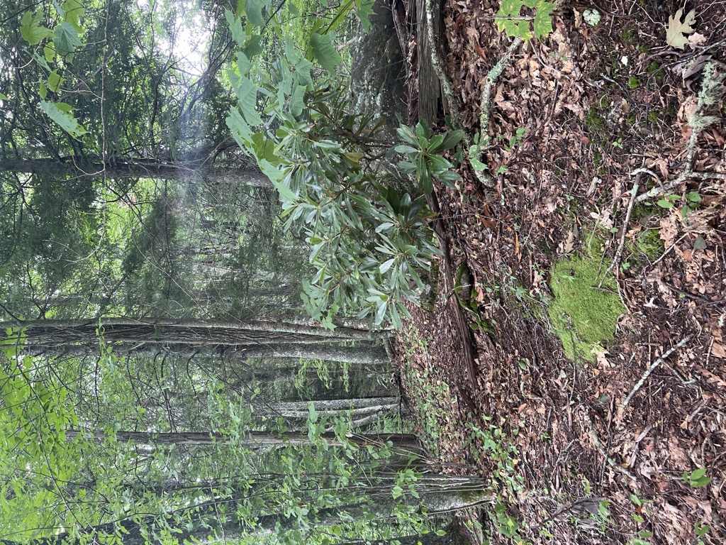 Photo №1 of Horse Pen Ridge