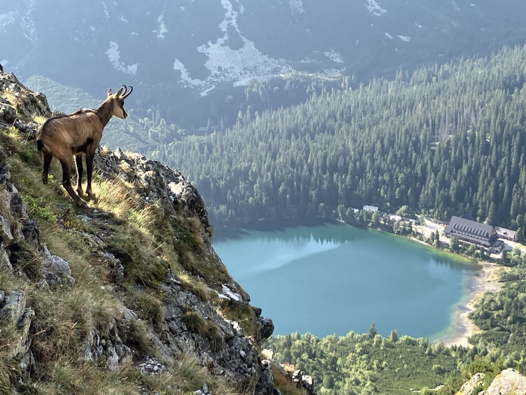 horsky-hotel-popradske-pleso-7