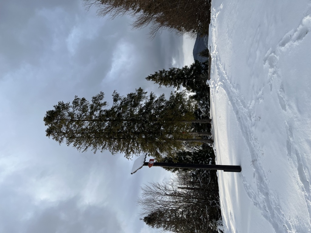 Photo №2 of Horzelica