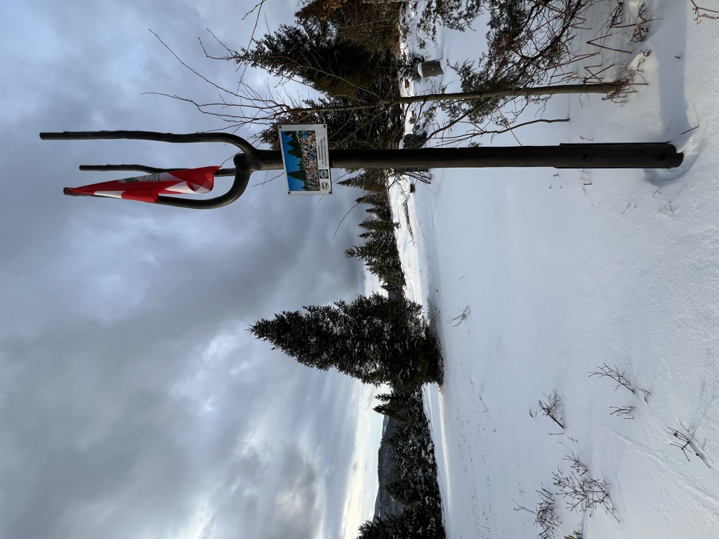 Photo №3 of Horzelica