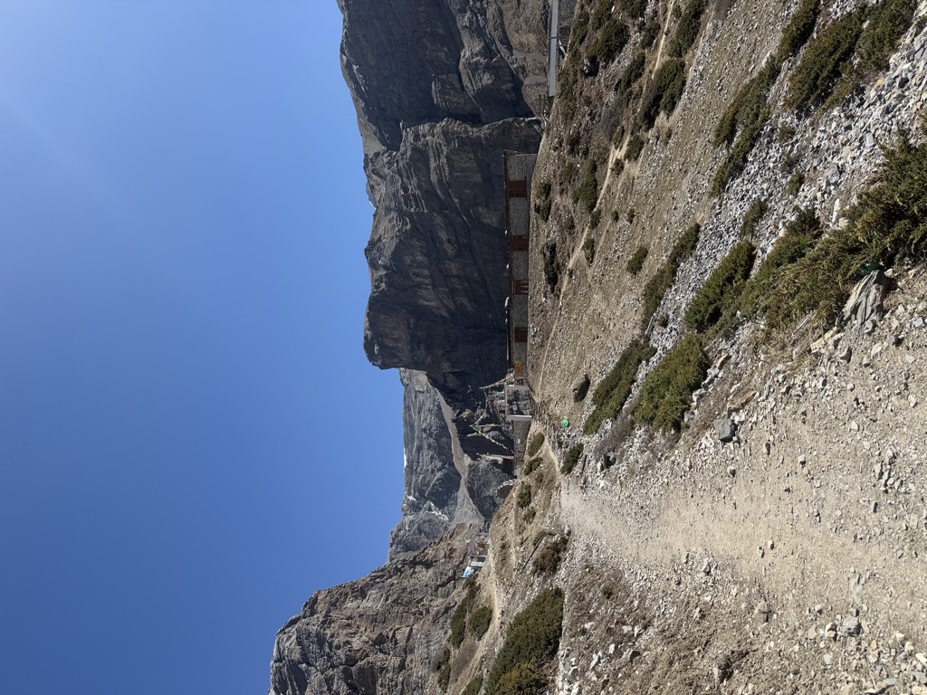 hotel-new-phedi