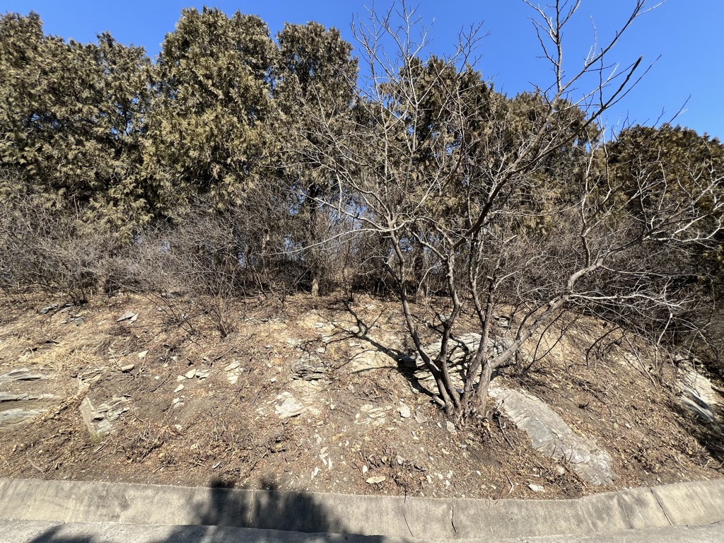 Photo №1 of Huángdào Lǐng