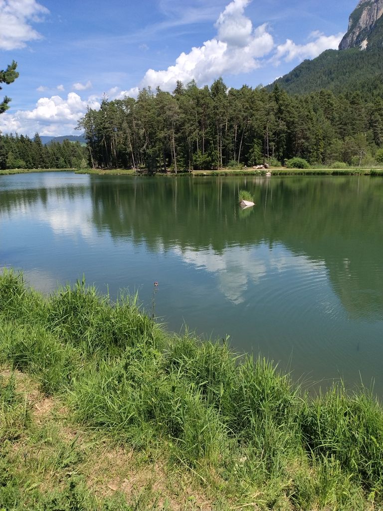 Photo №2 of Huber-Weiher - Laghetto Huber