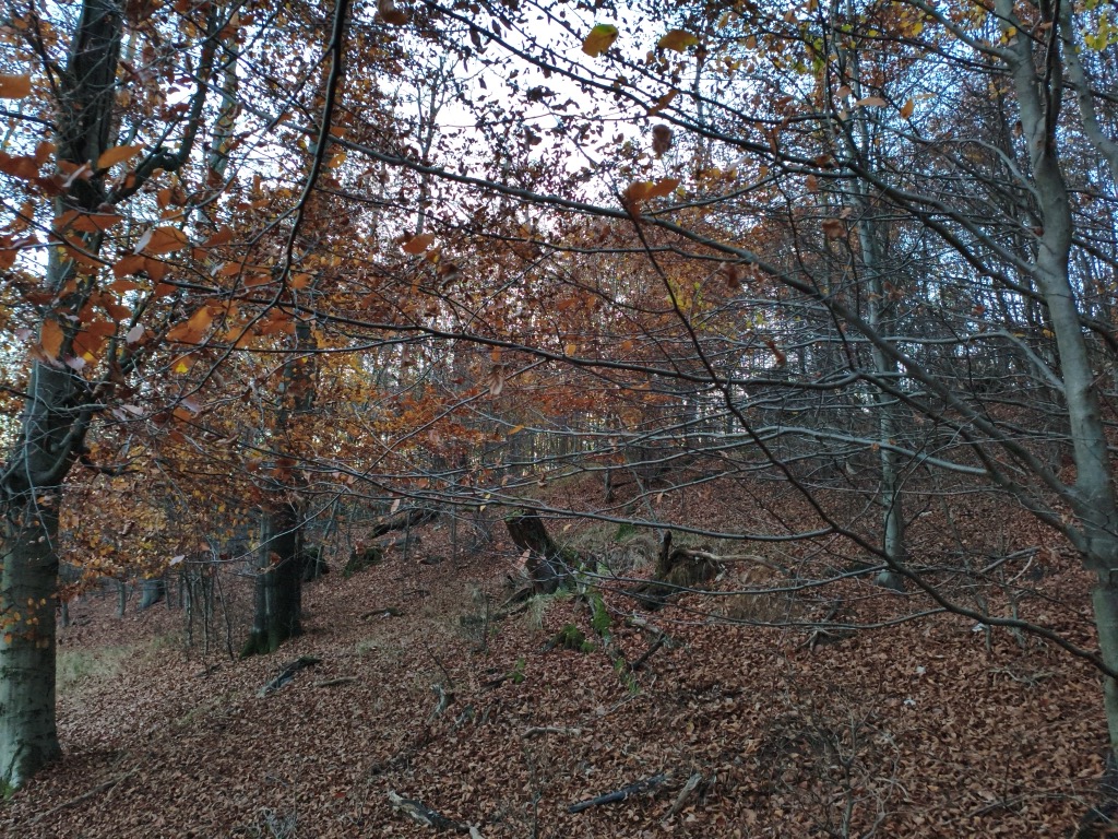 Photo №2 of Hucksberg