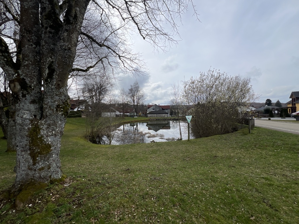 Photo №2 of Hülbe