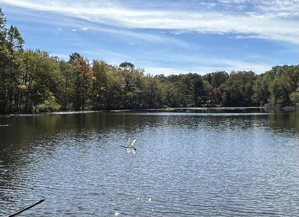 Photo №2 of Hulseman Pond