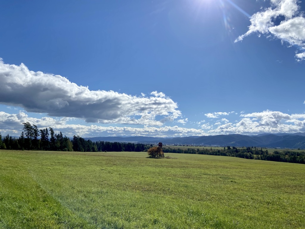 Humbierk