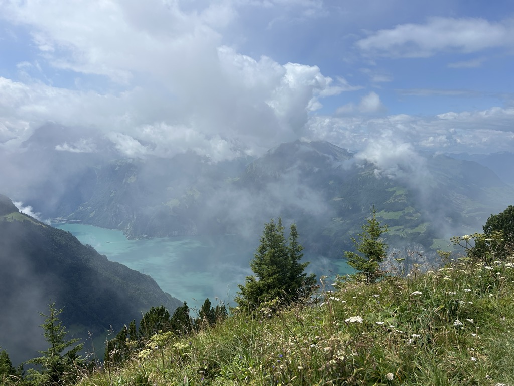 Photo №4 of Huser Stock